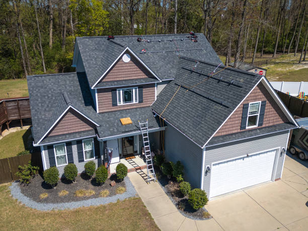 Roof Moss and Algae Removal